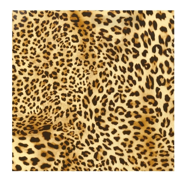 xp3048-05_colour_leo_3