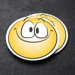 XP5733-pic